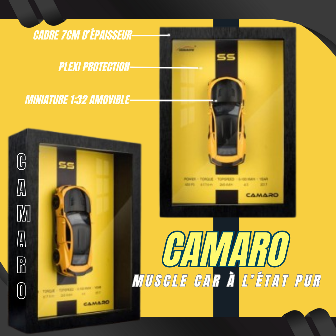Cadre-voiture-3D-CAMARO-tableaudecoration