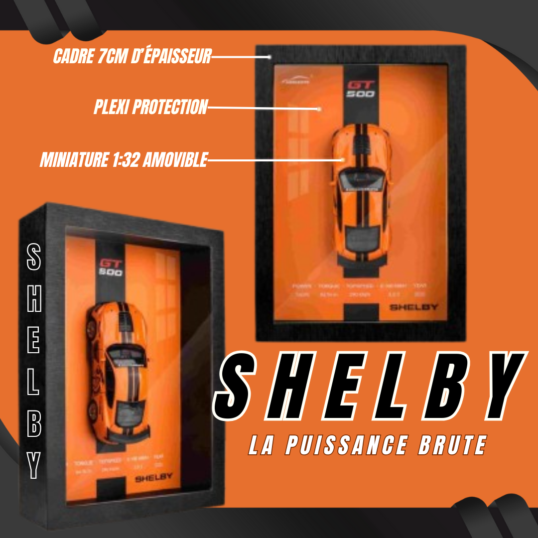 Cadre-voiture-3D-SHELBY-tableaudecoration